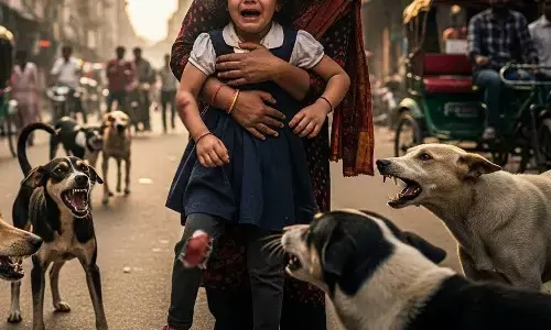 Stray dogs injured a 12 year-old girl in Delhi