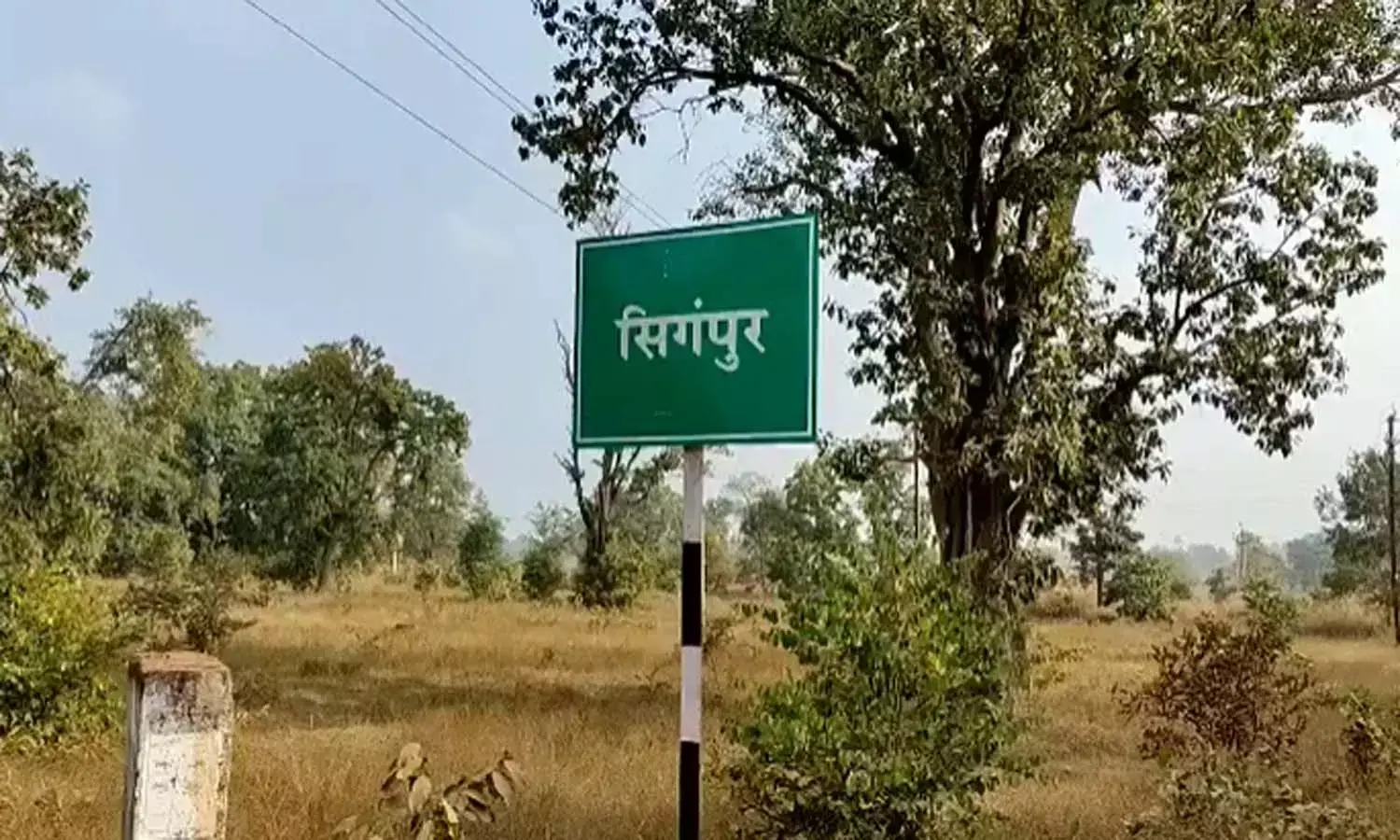 धमतरी में तेंदुए का शिकार : कुंए में मिली लाश , पंजे उखाड़ ले गए शिकारी