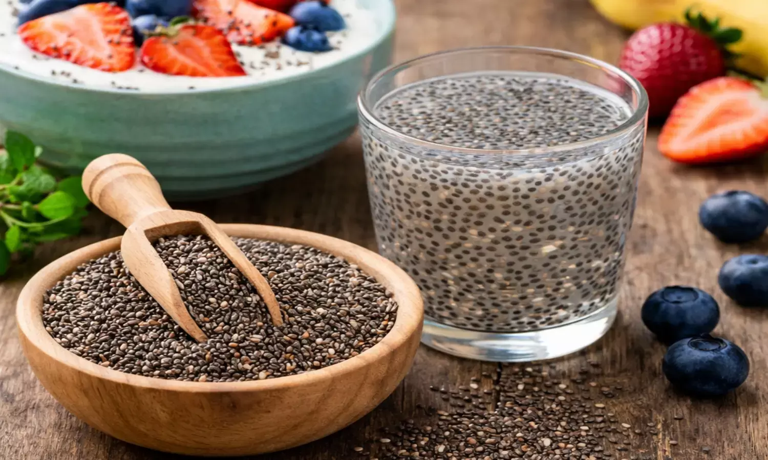chia seeds health benefits chia seeds health benefits
