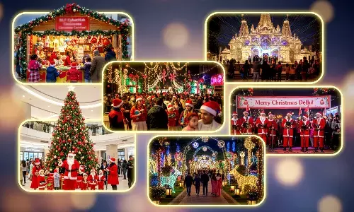 Delhi Christmas Celebration