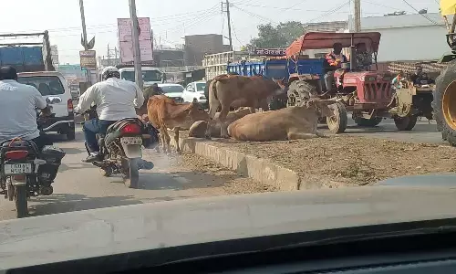 ट्रैफिक से बेहाल दो शहर : सकरी सड़कों से आवागमन बदहाल, लोगों को करना पड़ रहा है दिक्क्तों का सामना