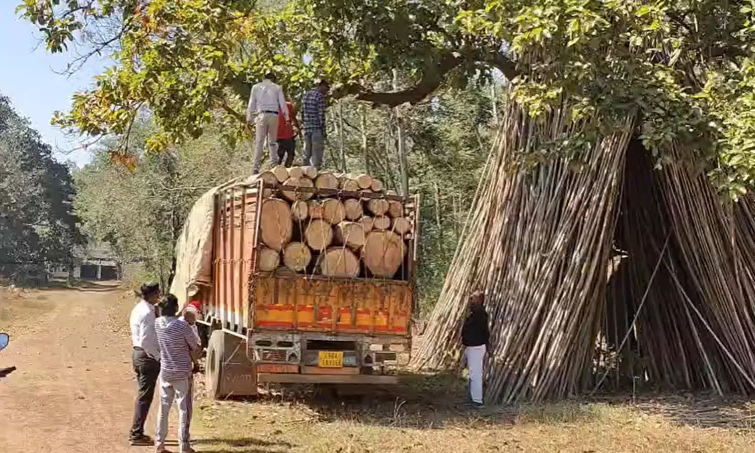 अवैध लकड़ी परिवहन पर एक्शन : फरसगांव में 106 नग सेमल लड़की जब्त, बिना कागजात के कर रहे थे परिवहन