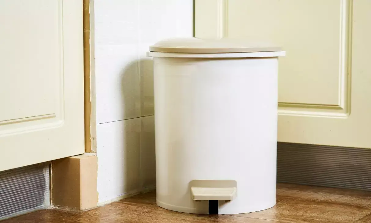 घर में कूड़ेदान रखने की सही दिशा, वरना बढ़ सकती हैं परेशानियां