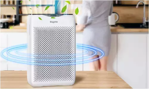 air Purifier