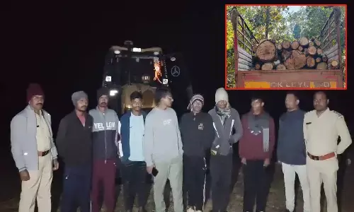 Semal wood smuggling