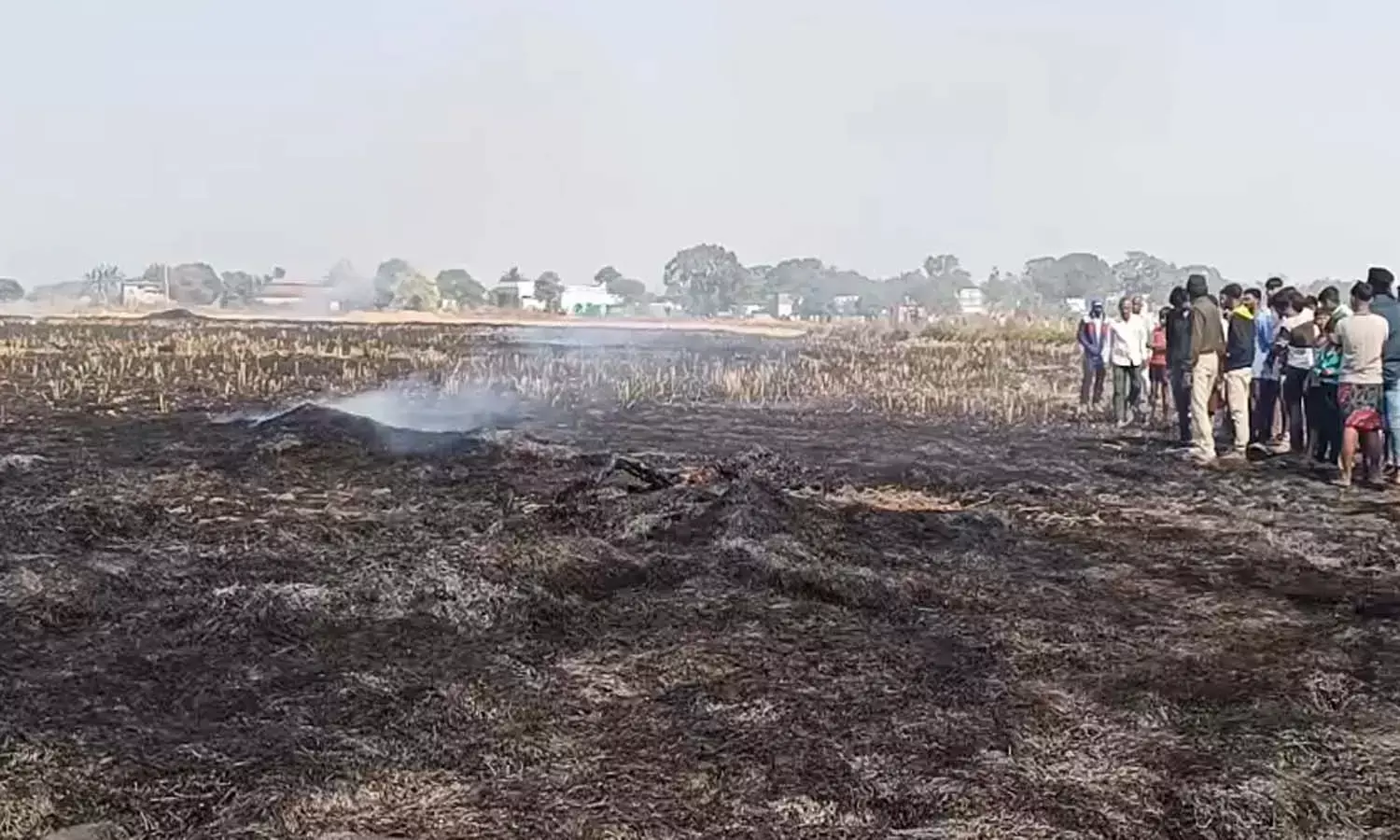 जिंदा जली महिला : खेत में पराली जलाने समय आग की चपेट में आने से हुई मौत, जांच में जुटी पुलिस