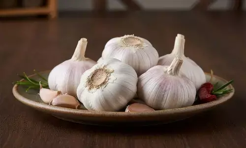 garlic home remedies for cough and cold