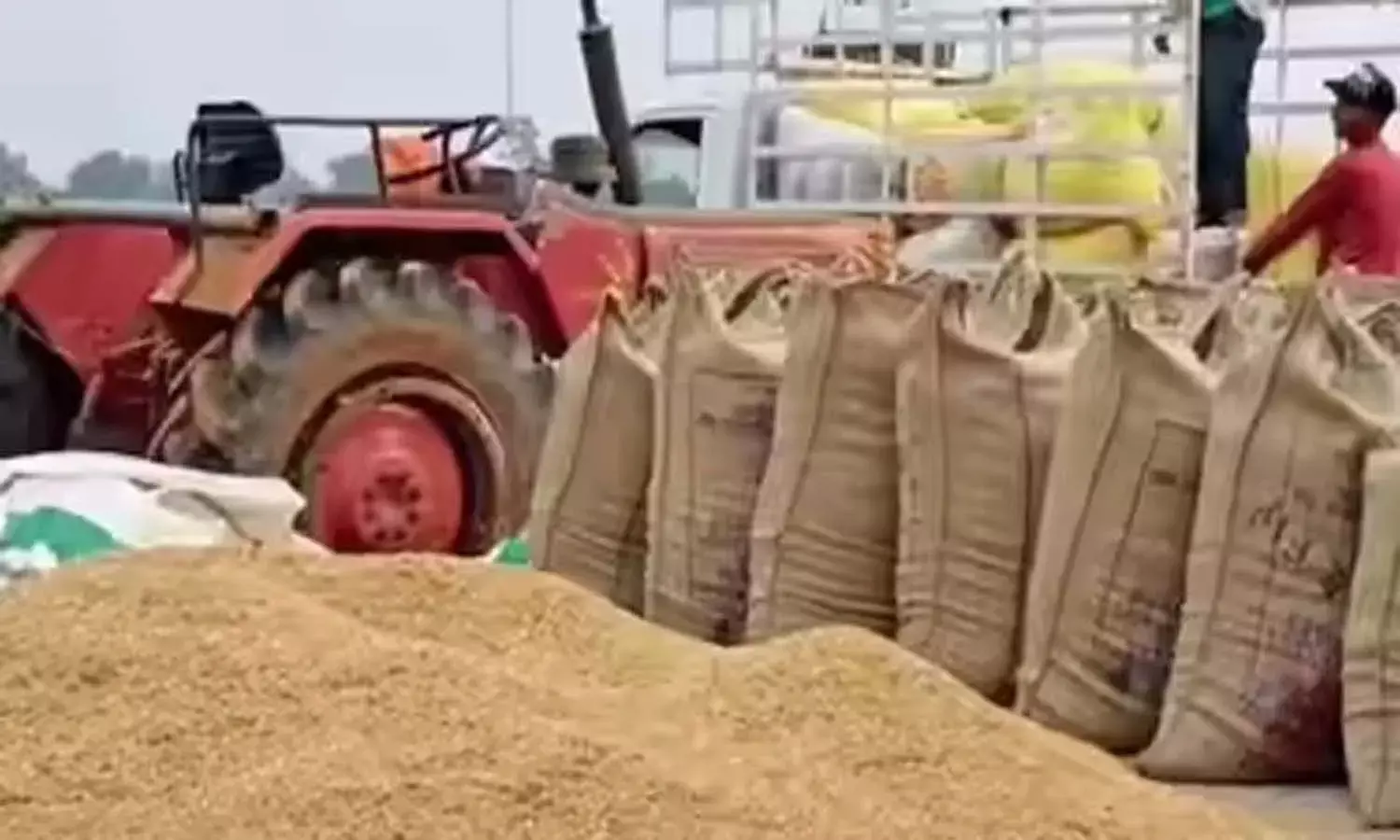 यूपी का धान खपाया छत्तीसगढ़ में : करोड़ों के नुकसान की आशंका, कोचिया गिरफ्तार भेजा गया जेल