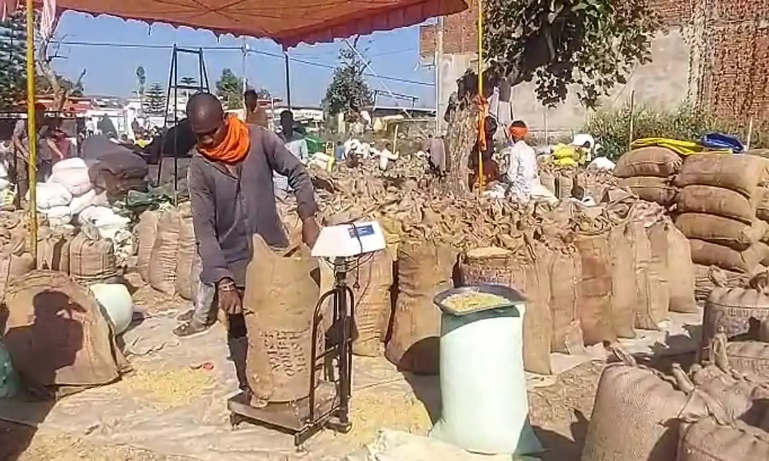 धान खरीदी केंद्र में ऑनलाइन टोकन बना सिरदर्द