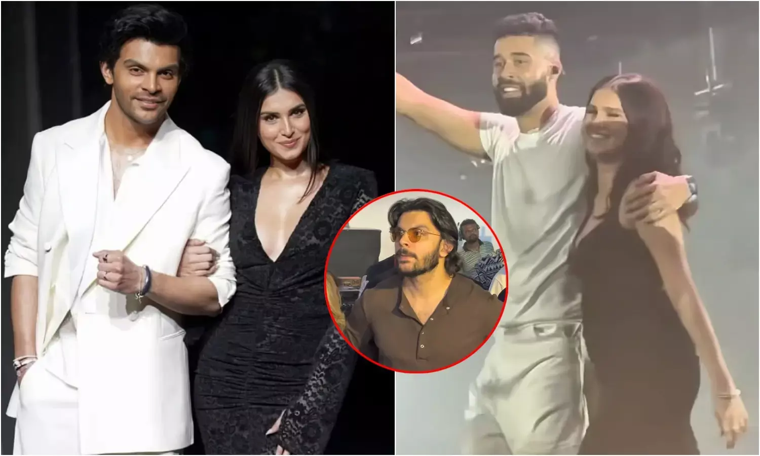 एपी ढिल्लों के कॉन्सर्ट वाले वायरल वीडियो पर तारा सुतारिया-वीर पहाड़िया ने दिया करारा जवाब