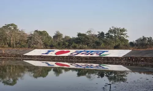 तुंगल बांध इको-टूरिज्म स्थल का नया स्वरूप : मंत्री केदार कश्यप की पहल पर वन विभाग ने शांति- विकास और पर्यटन को दी नई पहचान