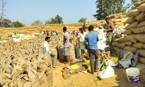 बरमकेला में धान खरीदी ने पकड़ी रफ्तार: पारदर्शी व्यवस्था से किसानों के चेहरे पर लौटी मुस्कान