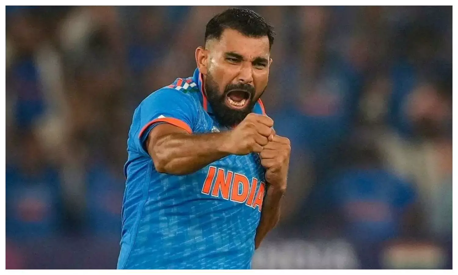 Mohammed Shami team india comeback