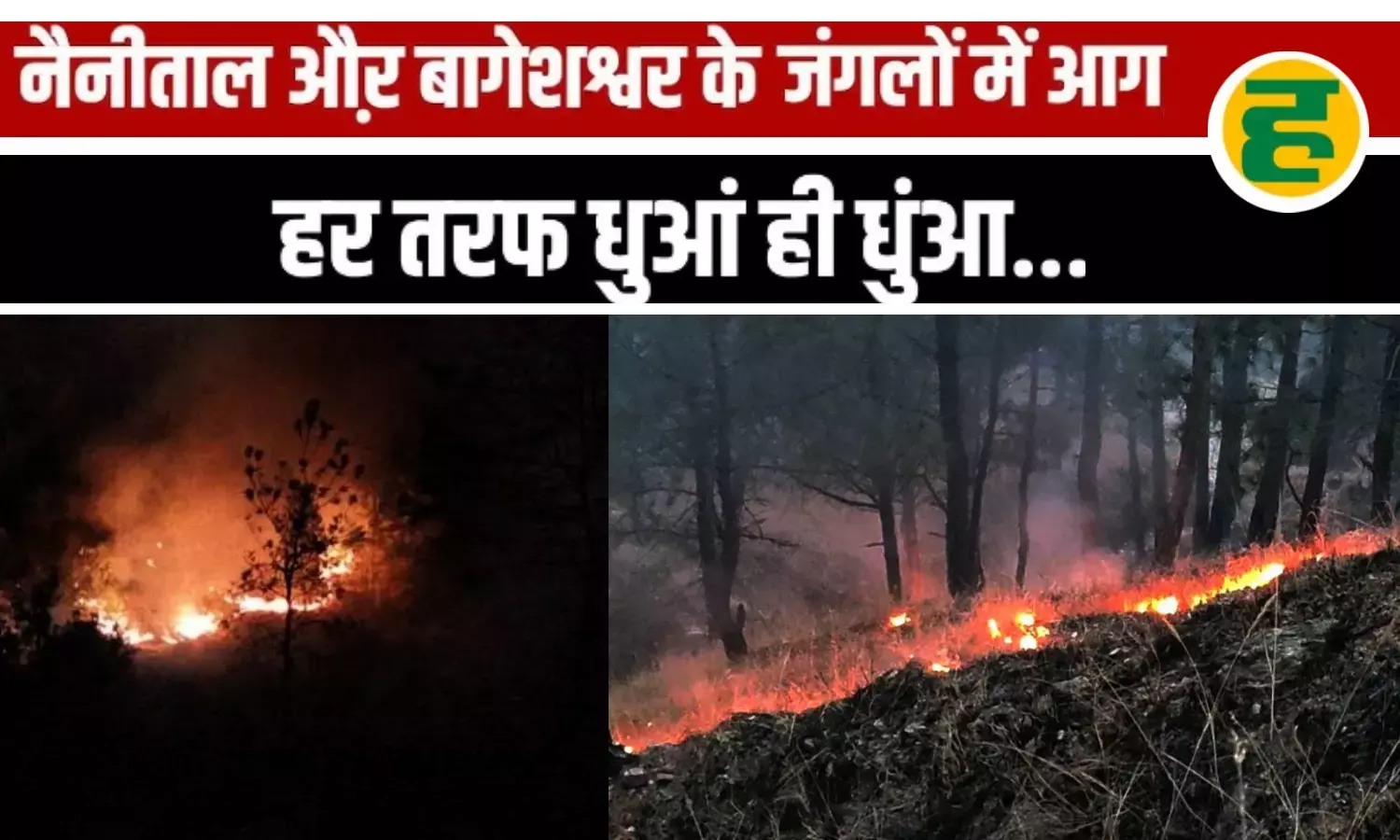 रामगढ़ और गणखेत रेंज में वन संपदा को नुकसान, खतरे में वन्यजीव