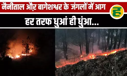 रामगढ़ और गणखेत रेंज में वन संपदा को नुकसान, खतरे में वन्यजीव