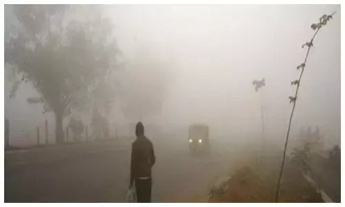 राजस्थान में 8 से अधिक जिलों में बारिश का अलर्ट, ठंड और कोहरे ने बढ़ाई कंपकंपी