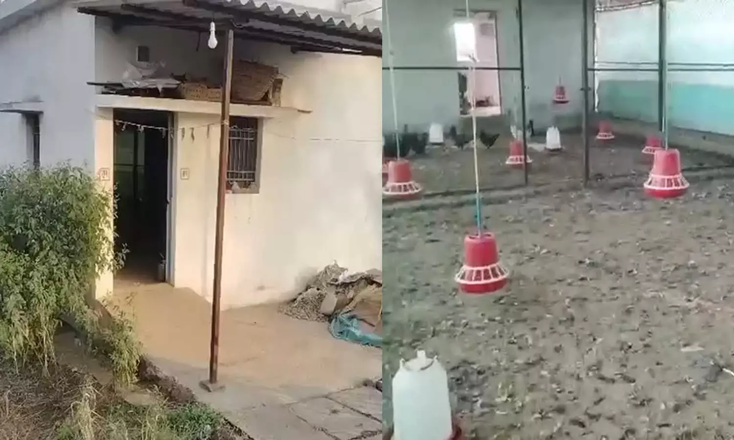 नए साल की रात चोरों का आतंक