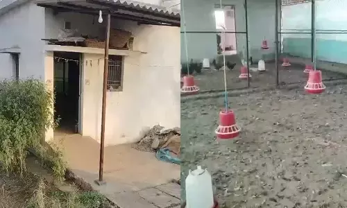 नए साल की रात चोरों का आतंक नए साल की रात चोरों का आतंक