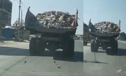 waste management negligence