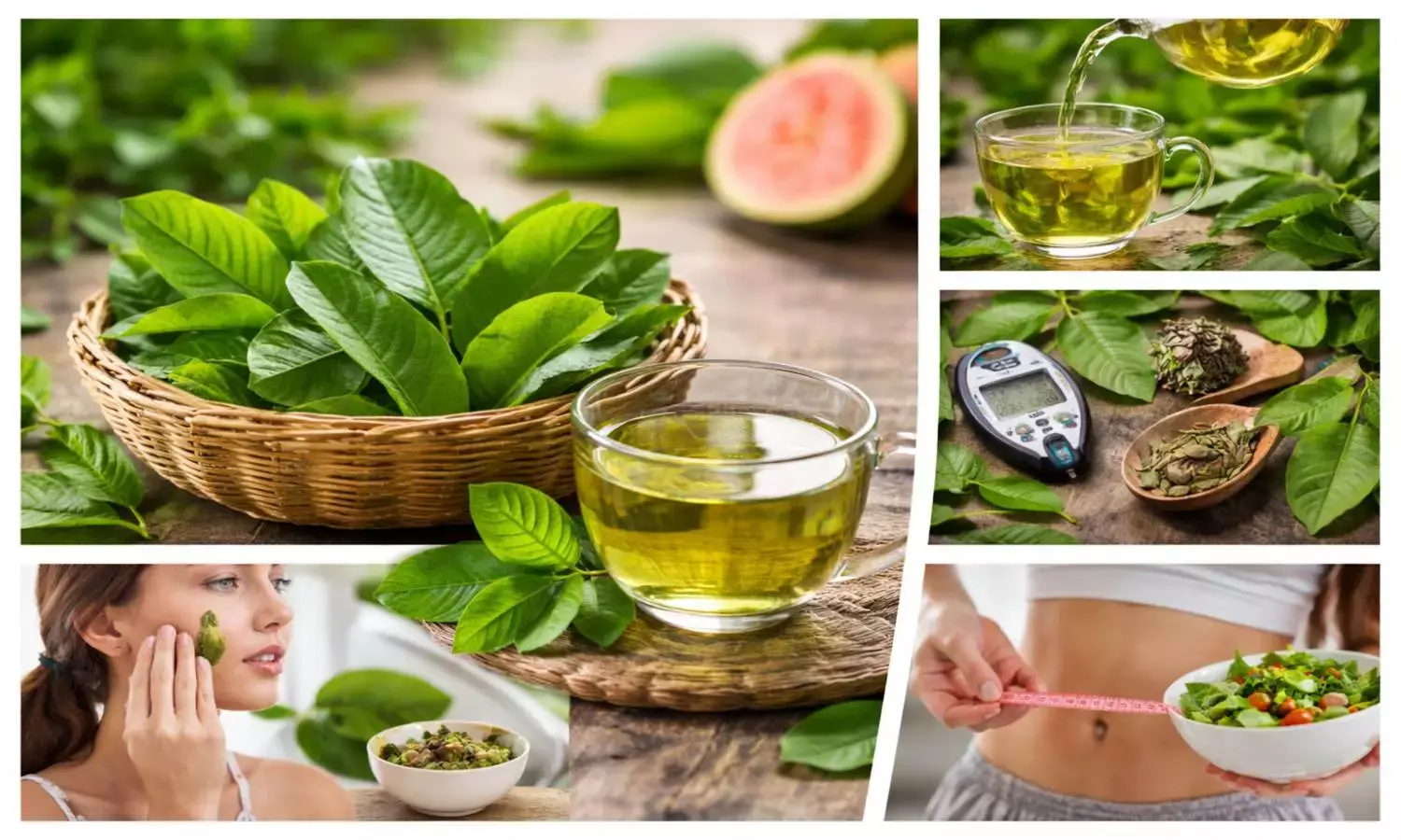 guava leaves health benefits