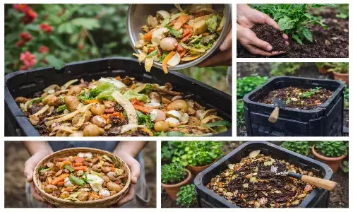 Vegetable waste composting at home