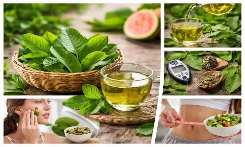 guava leaves health benefits