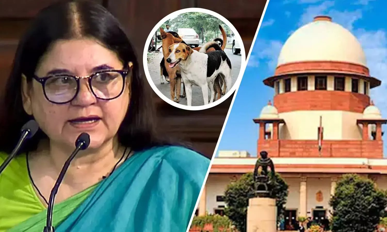 मेनका गांधी ने आवारा कुत्तों पर सुप्रीम आदेश को गलत बताया, बोलीं- देश को बांट दिया