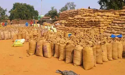 धान खरीदी