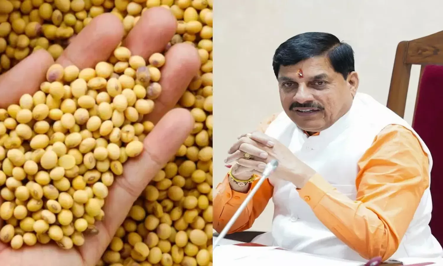 सरकार ने बढ़ाई भावांतर योजना की राशि, सोयाबीन का मॉडल रेट 4458 रुपये क्विंटल पहुंचा सरकार ने बढ़ाई भावांतर योजना की राशि, सोयाबीन का मॉडल रेट 4458 रुपये क्विंटल पहुंचा