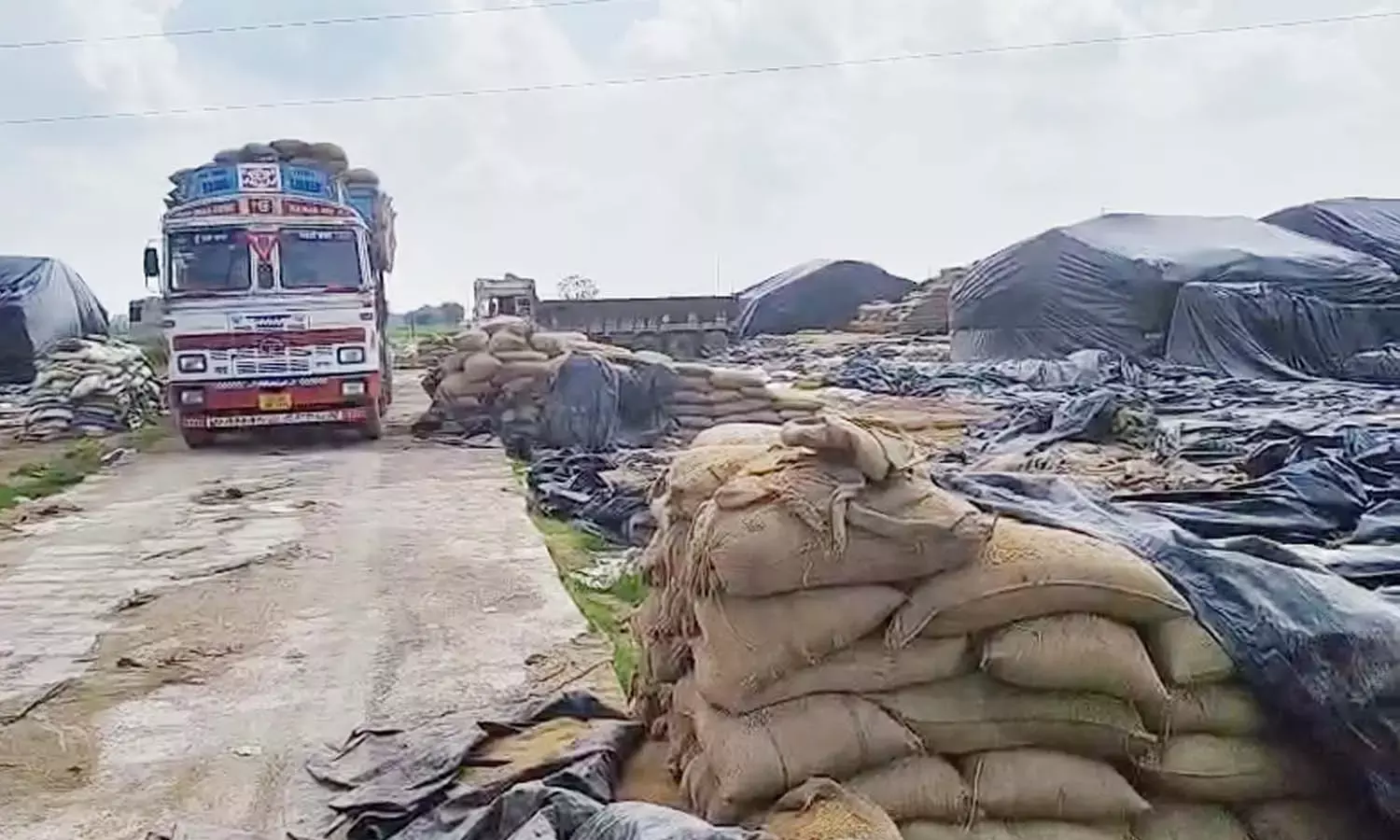 धान संग्रहण धान संग्रहण