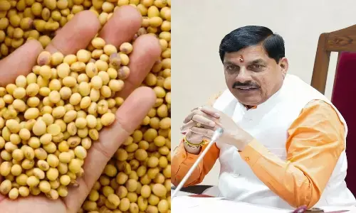 सरकार ने बढ़ाई भावांतर योजना की राशि, सोयाबीन का मॉडल रेट 4458 रुपये क्विंटल पहुंचा