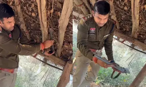 बंदूक बरामद