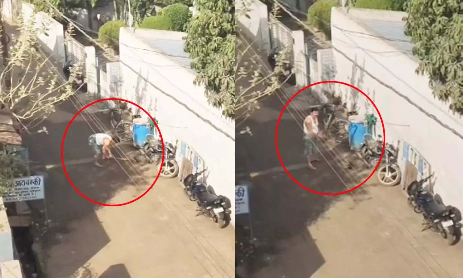 बेजुबान जानवर पर पुलिसकर्मी की क्रूरता