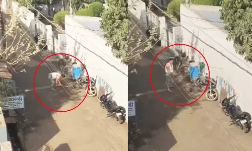 बेजुबान जानवर पर पुलिसकर्मी की क्रूरता