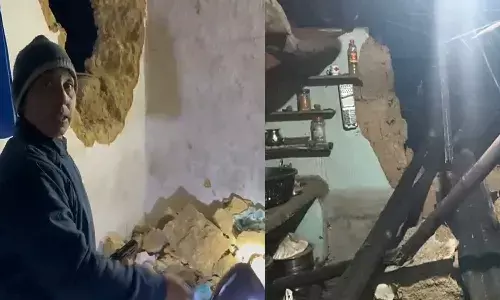 जंगली दंतैल हाथी ने जमकर मचाया उत्पात