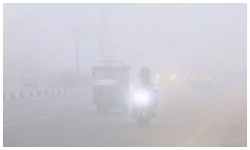 मध्यप्रदेश में खून जमा देने वाली ठंड, 2.7 डिग्री पहुंचा तापमान; ट्रेनें घंटों लेट