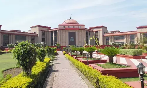 आवारा कुत्तों के आतंक को लेकर हाईकोर्ट सख्त