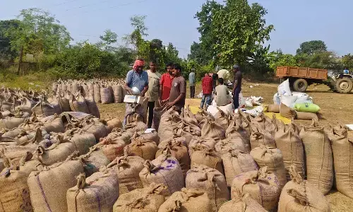 धान खरीदी में परेशानियों का हल :  छूटे किसानों का हो सकेगा नया पंजीयन,  15 से  31 जनवरी तक का समय