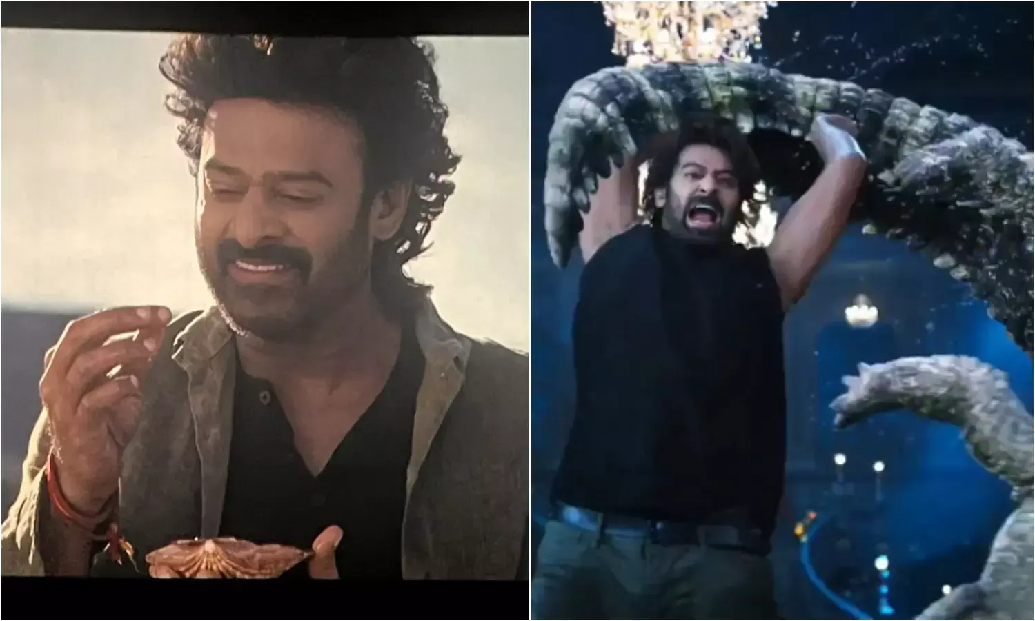 दर्शकों ने सोशल मीडिया पर फिल्म द राजा साब का रिव्यू दिया है।