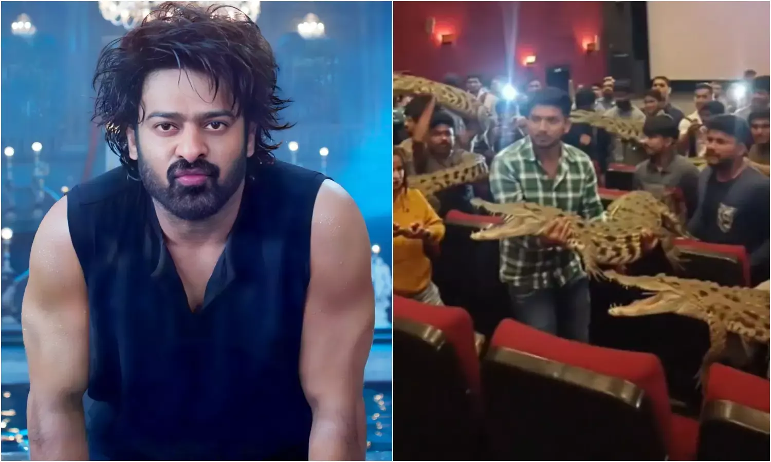 द राजा साब की स्क्रीनिंग के दौरान थिएटर में ‘मगरमच्छ’ लेकर पहुंचे प्रभास के फैंस, वीडियो वायरल