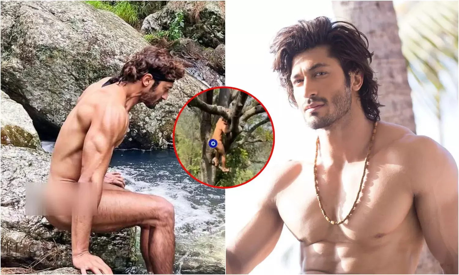 न्यूड होकर पेड़ पर चढ़े विद्युत जामवाल, वीडियो देख फैंस हैरान बोले- ‘ये क्या कर रहे हैं?’