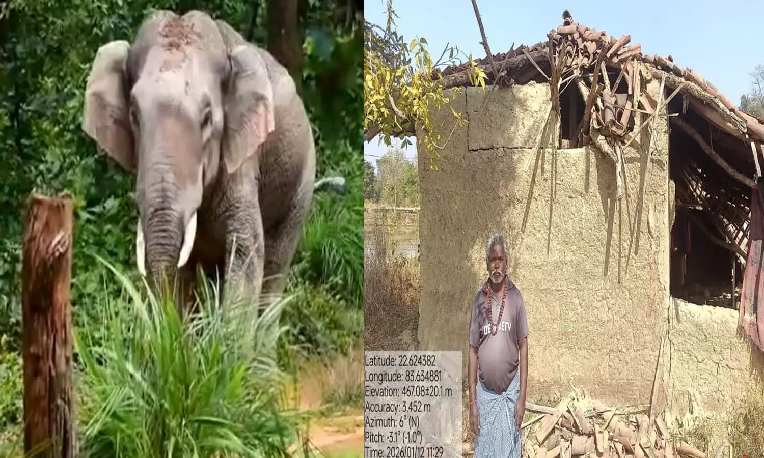 जशपुर में लोनर हाथी का आतक: 10 दिनों से क्षेत्र में कर रहा विचरण,घर और फसलों का पहुंचा रहा नुकसान