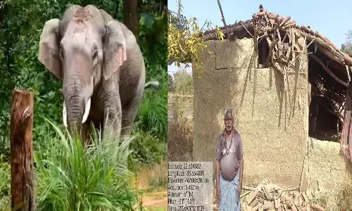 जशपुर में लोनर हाथी का आतक: 10 दिनों से क्षेत्र में कर रहा विचरण,घर और फसलों का पहुंचा रहा नुकसान