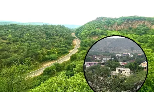 Tree plantation will be done on 750 acres of land in Gurugram