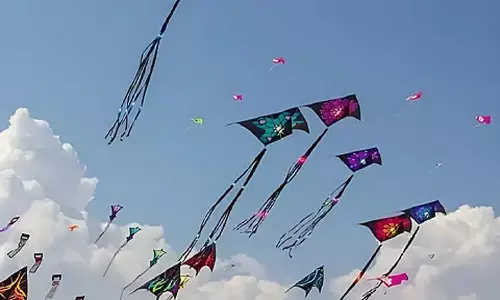 लामनी पार्क में होगी पतंगबाजी प्रतियोगिता : विजेताओं को दिए जाएंगे आकर्षक पुरस्कार, आयोजन की तैयारियां शुरू