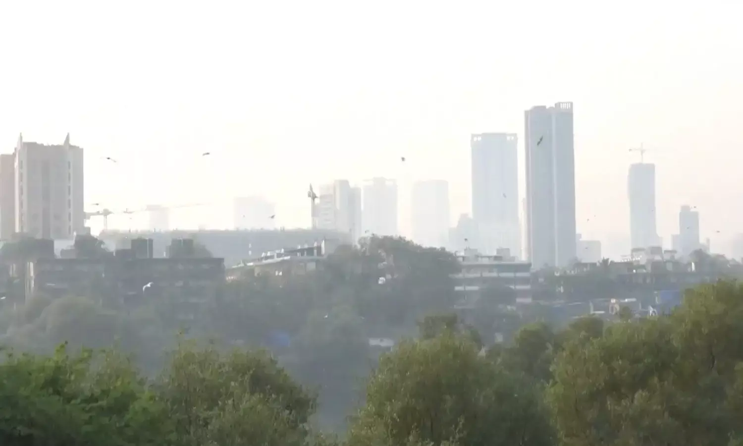 Mumbai Weather Update, 13 January