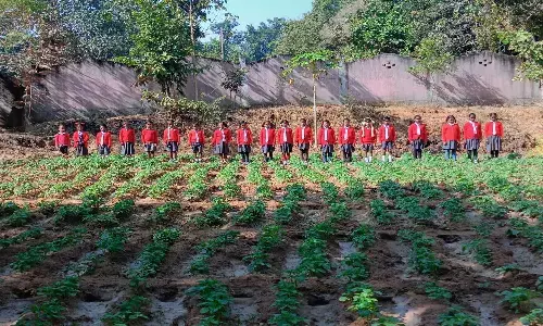 प्रधान पाठक ने बदली स्कूल की तस्वीर : डीपाटोली के बच्चे अब खेल-कूद के साथ करते हैं पढ़ाई, सीखते हैं अन्य जरूरी गतिविधियां