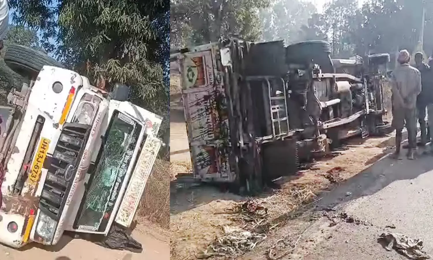 बूचड़खाने ले जाई जा रही थीं 14 गायें