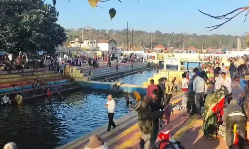 Makar Sankranti Celebration