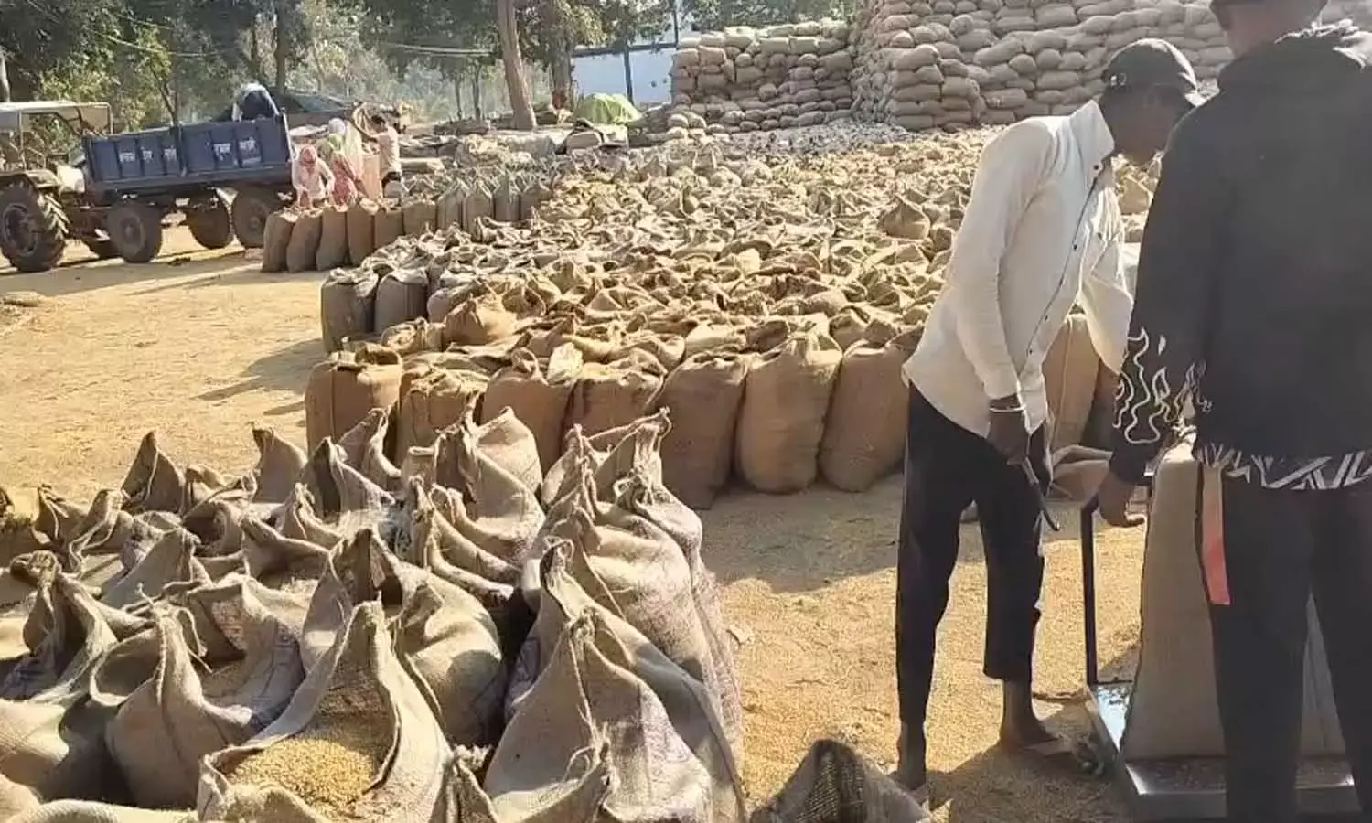 धान खरीदी में छत्तीसगढ़ का नया कीर्तिमान